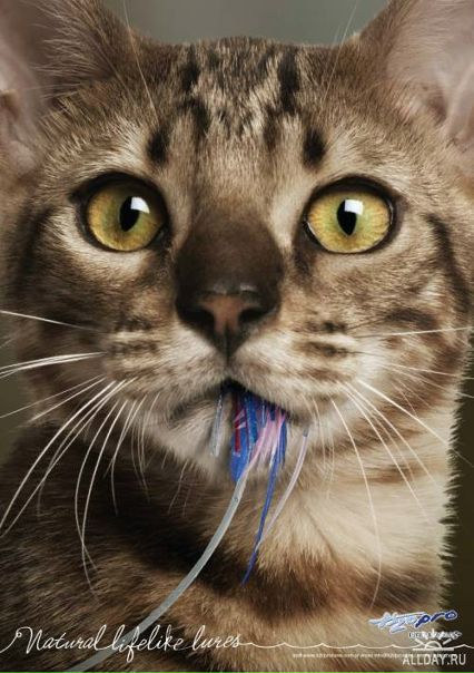 №110, Алексей Лавров, Челябинск №110, Алексей Лавров, Челябинск