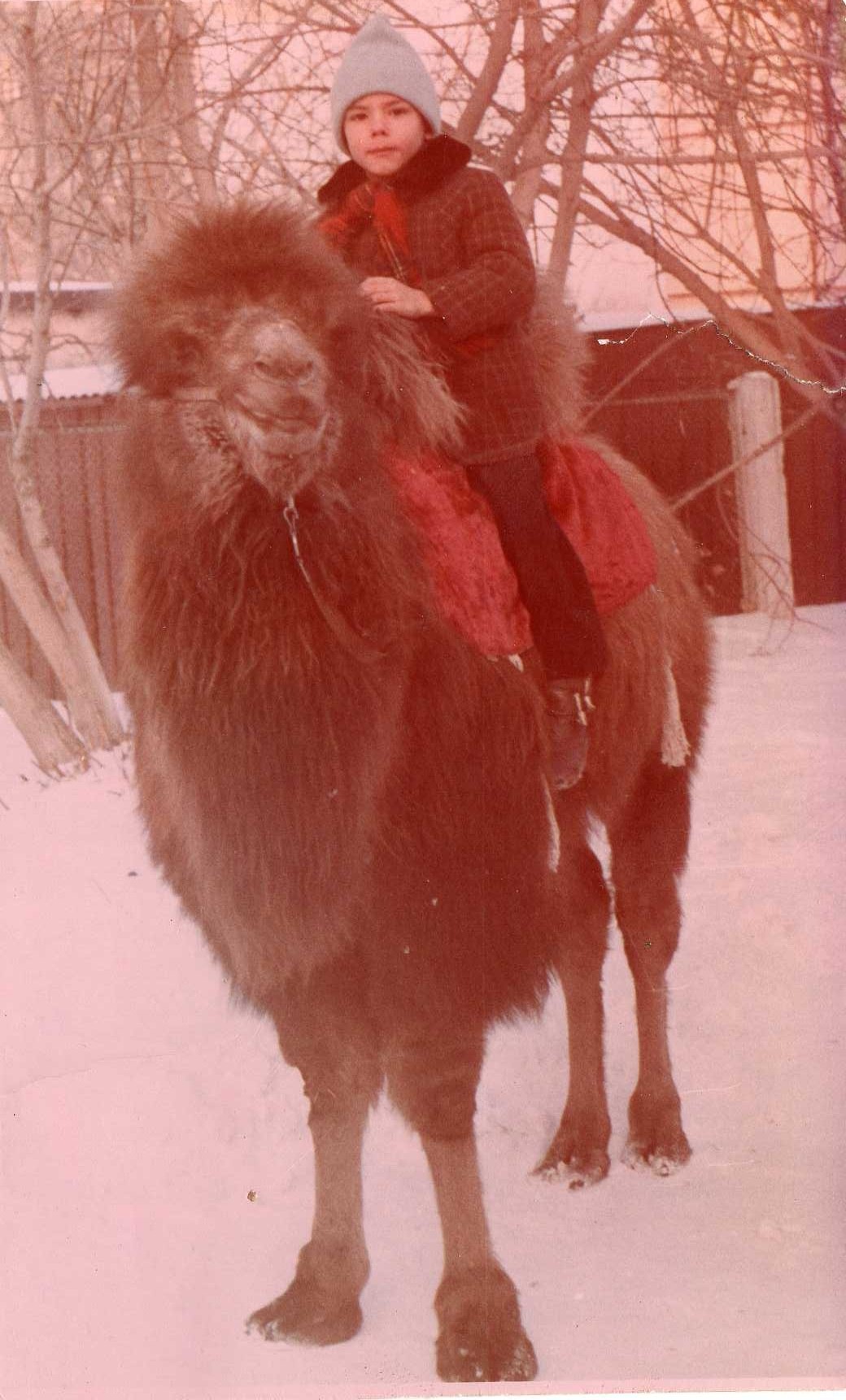 Фото профиля