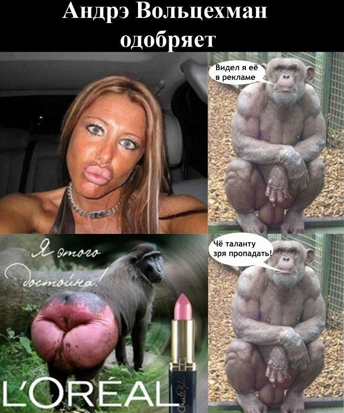 Андрэ Вольцехман | Киев