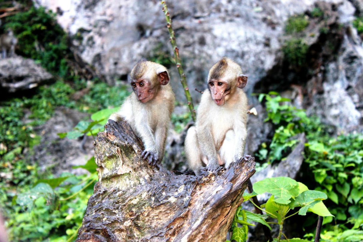 Алексей Воронин | Москва