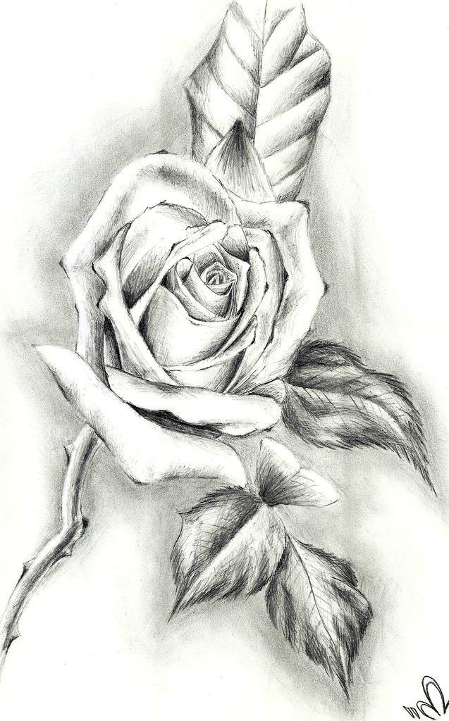 Макс Ефимкин | Санкт-Петербург