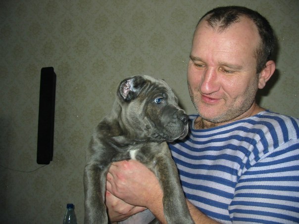 Андрей Тарануха | Санкт-Петербург