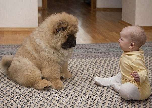 Виктория Елдзарова | Los Angeles