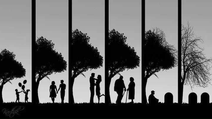 №92, Hitham Ahmed, Sharm el-Sheikh №92, Hitham Ahmed, Sharm el-Sheikh