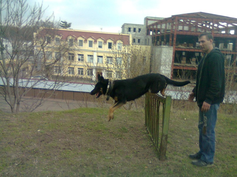 Николай Чернявский | Одесса
