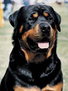 Никита Литвинов | Ивано-Франковск