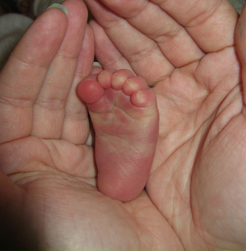 Ульяна Брехова | Харьков