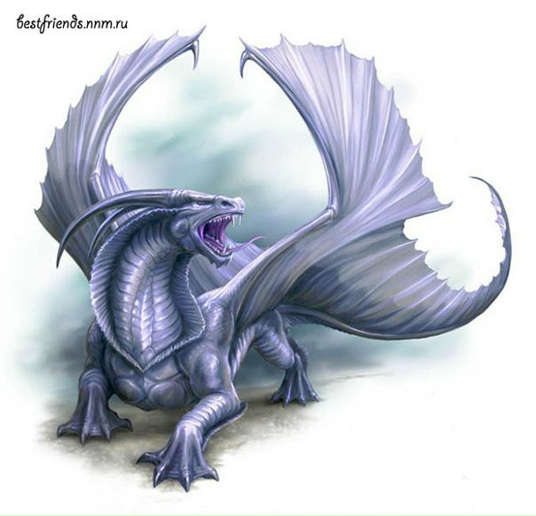 №13, Алексей Гостев №13, Алексей Гостев