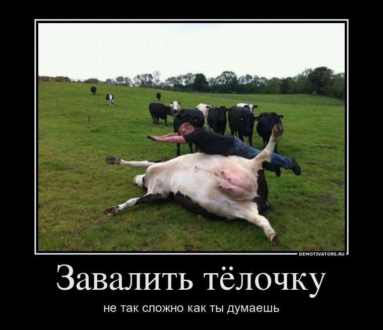 Юра Патлатюк | Винница