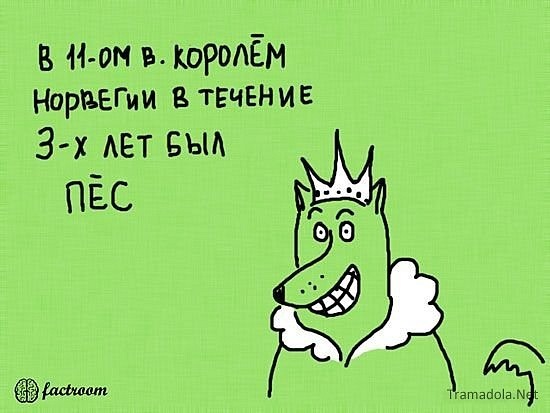 №136, Катерина Бондаревская, 30 лет, Кременчуг №136, Катерина Бондаревская, 30 лет, Кременчуг