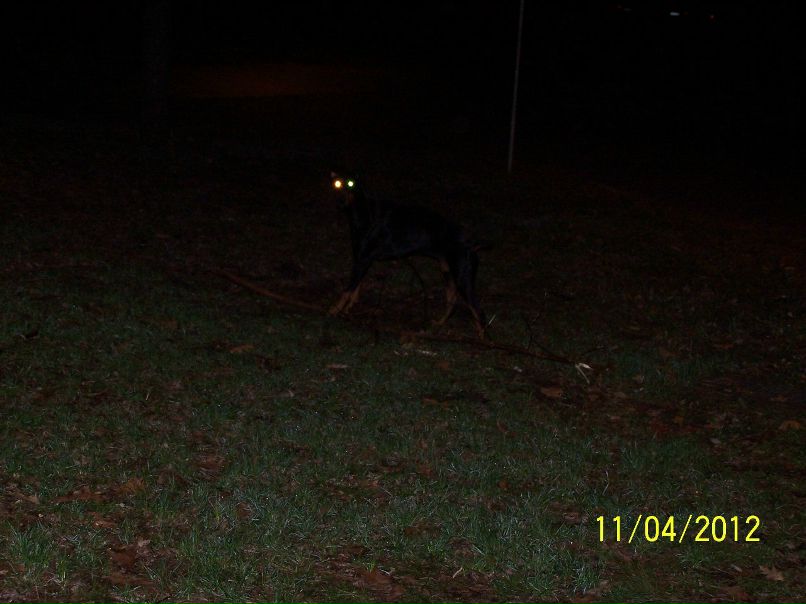 Оксана Соболь | Киев