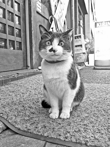 Миа Энберг | 