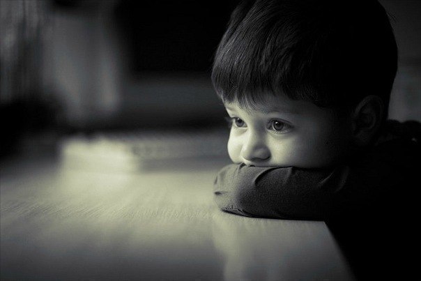 Никитушка Лазарев ™ | Новосибирск