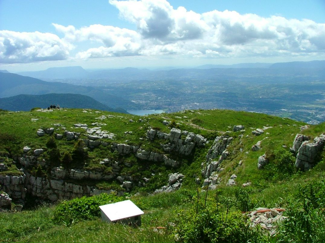 Фредерика Фошэ | Paris