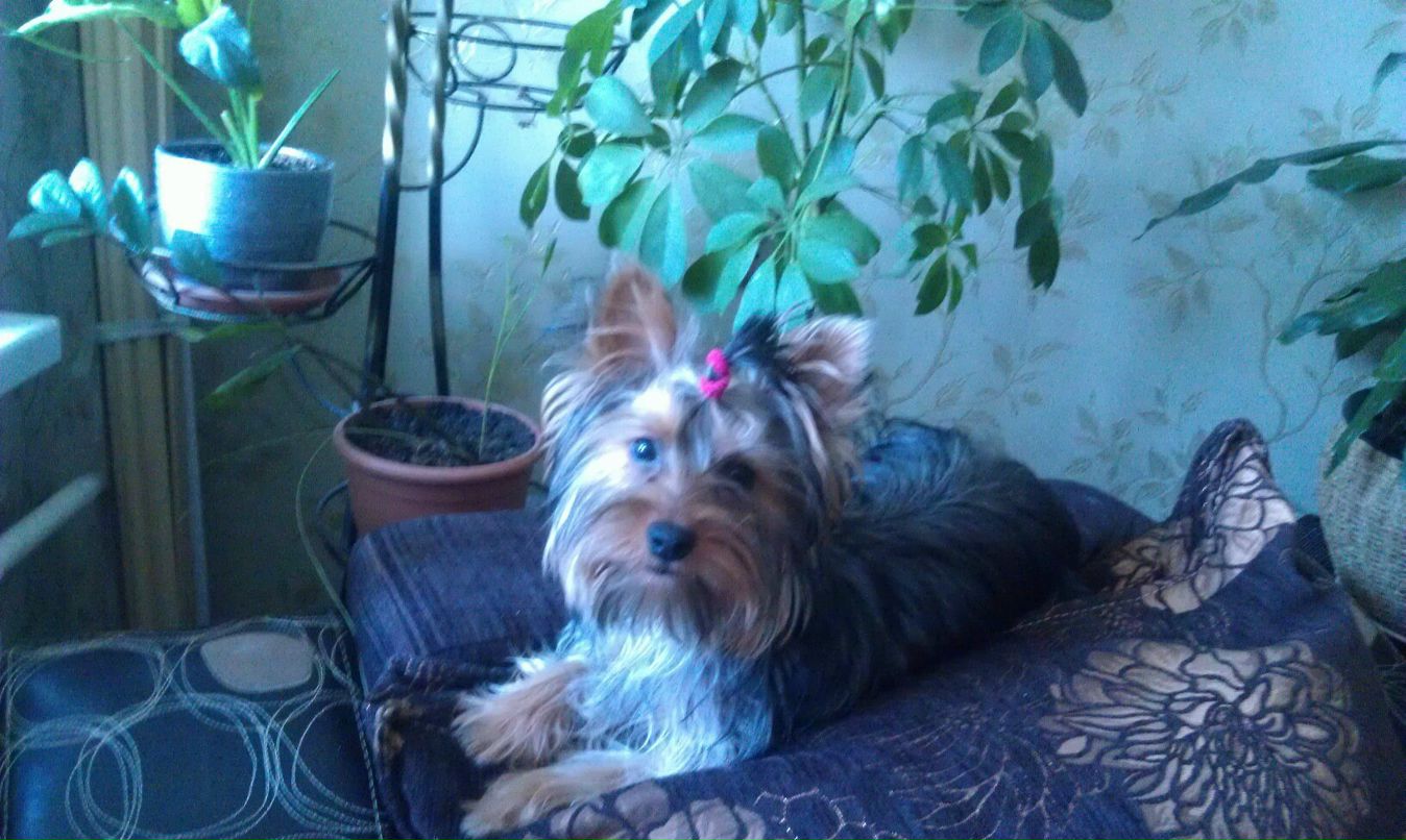 Оксана Драганова | Мариуполь