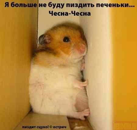 №87, Михайло Руммо, Харьков №87, Михайло Руммо, Харьков