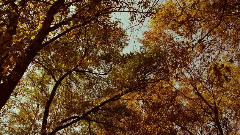 Леонид Горбовский | Торжок