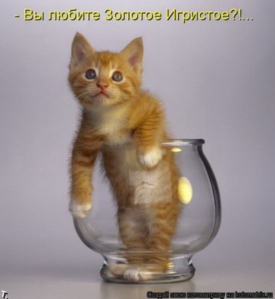 Юля Капелюшок | Киев