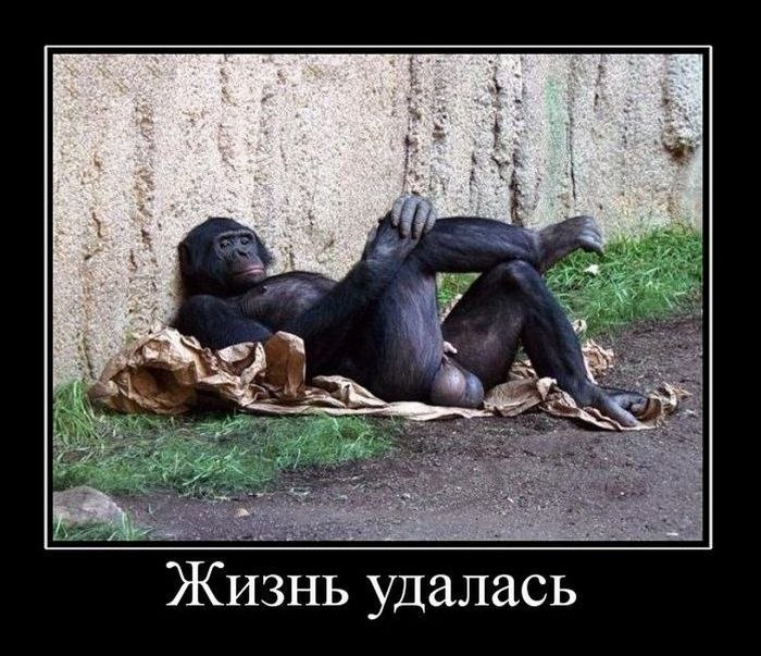 Igor Kolyma | Boston