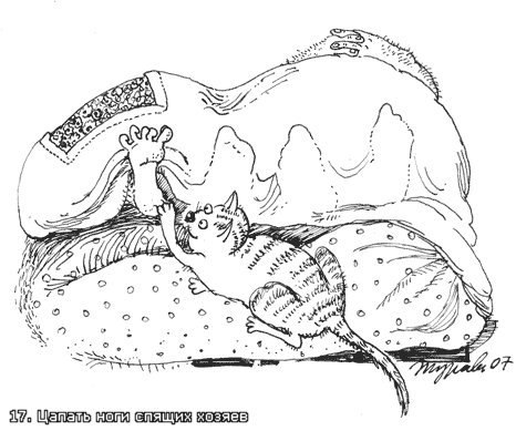 Даша Александрова | Тверь