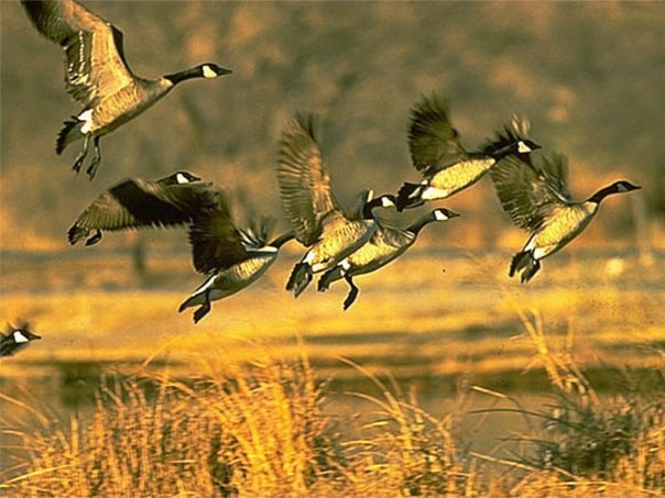 Петр Иванов | Якутск