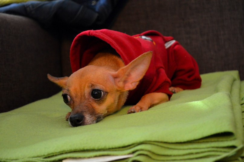 Никита Ермаков | Москва