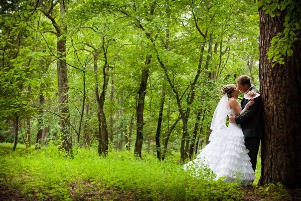 Евгений Шарков | Воронеж