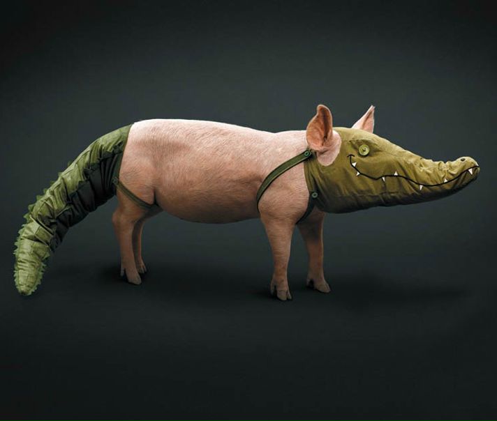 №34, Саша Кондратенко, 39 лет, Киев №34, Саша Кондратенко, 39 лет, Киев