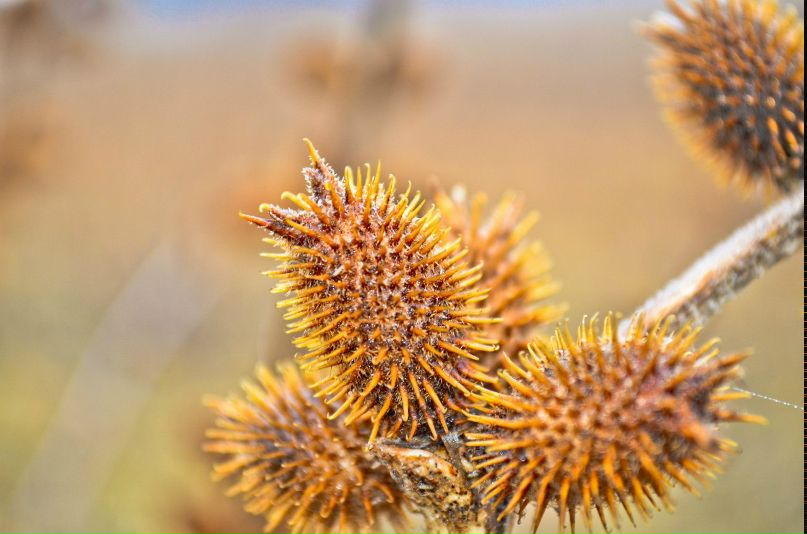 Дмитрий Зинченко | Харьков