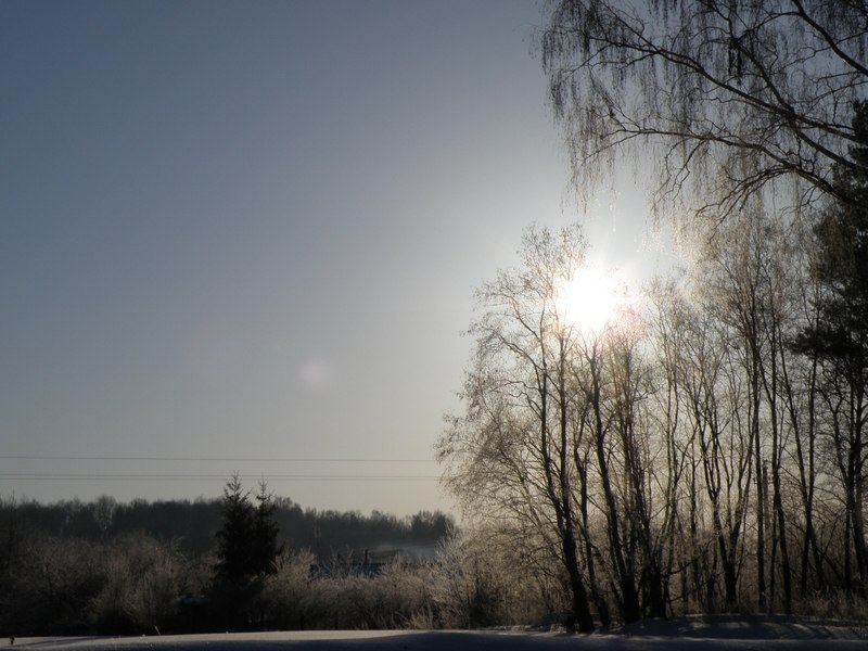 Леонид Александров | Витебск