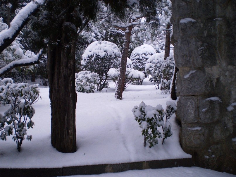 Татьяна Лыткина Викторовна | Йошкар-Ола