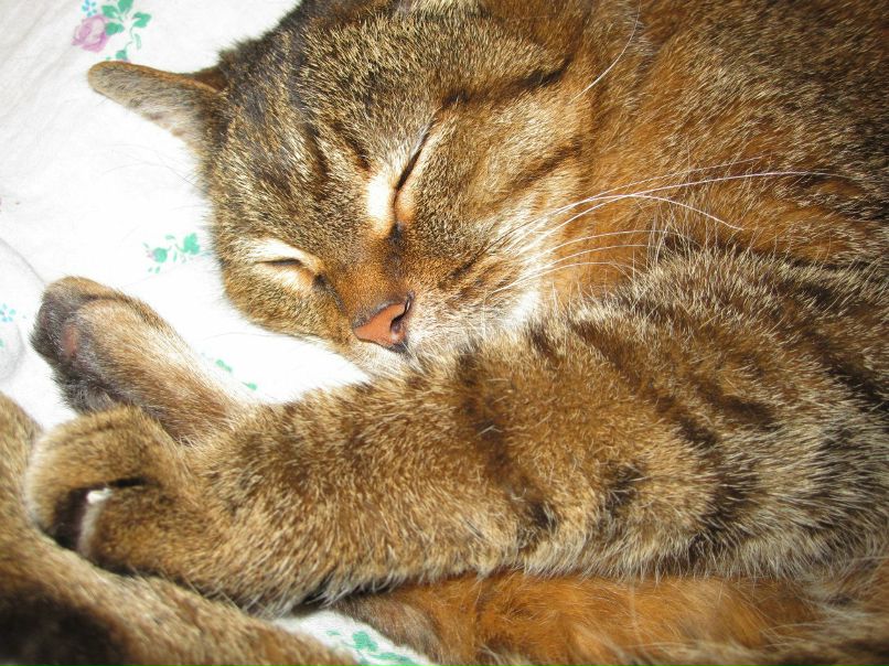 Марина Балакина | Челябинск