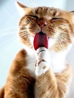 №26, Кирилл Фролов, Москва №26, Кирилл Фролов, Москва