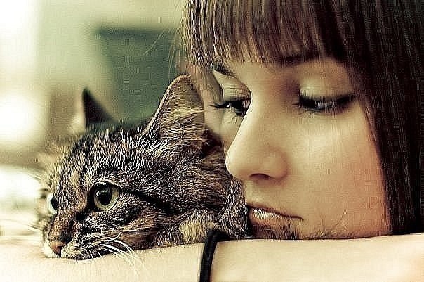 Ирина Марченко | Ромны