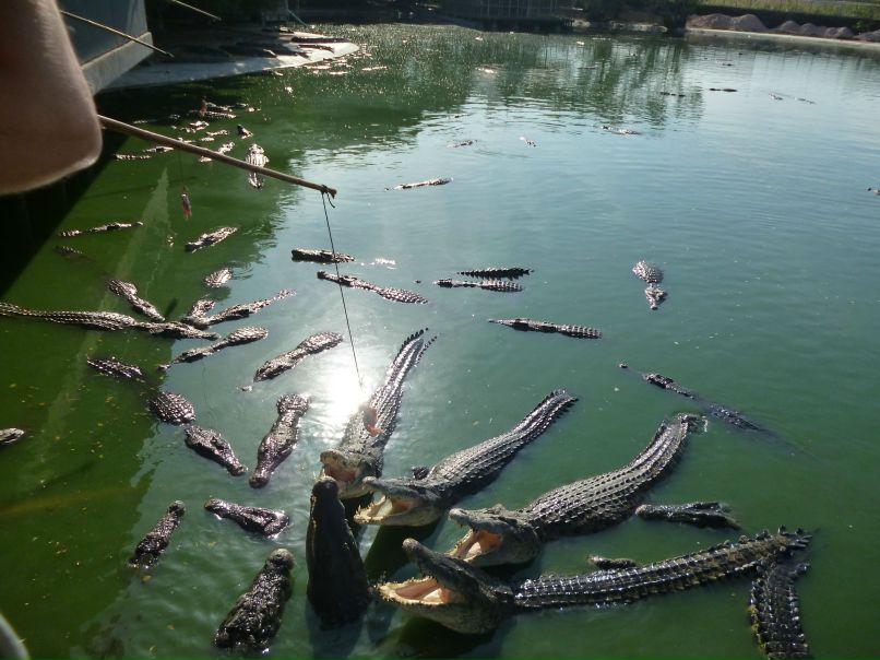 Кирилл Боровиков | Ростов-на-Дону