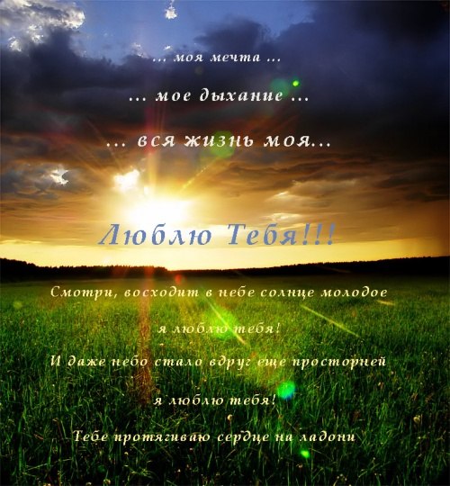 Павел Соловьев | Шаховская