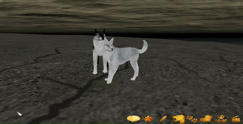 Ksenia Makhanova | Санкт-Петербург