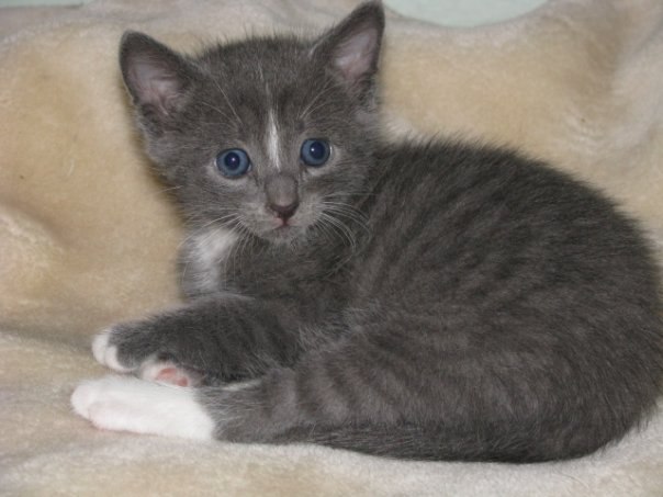 Роман Кудрявцев | Санкт-Петербург