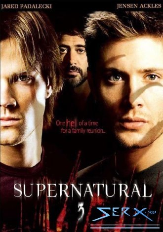 №104, Денис Плужник, Moose Jaw №104, Денис Плужник, Moose Jaw