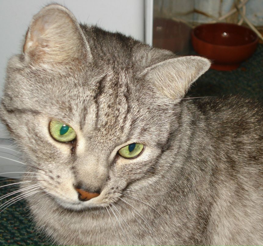 Людмила Мельник | Сланцы