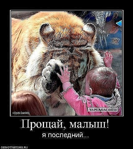 Сергій Яровенко | Винница