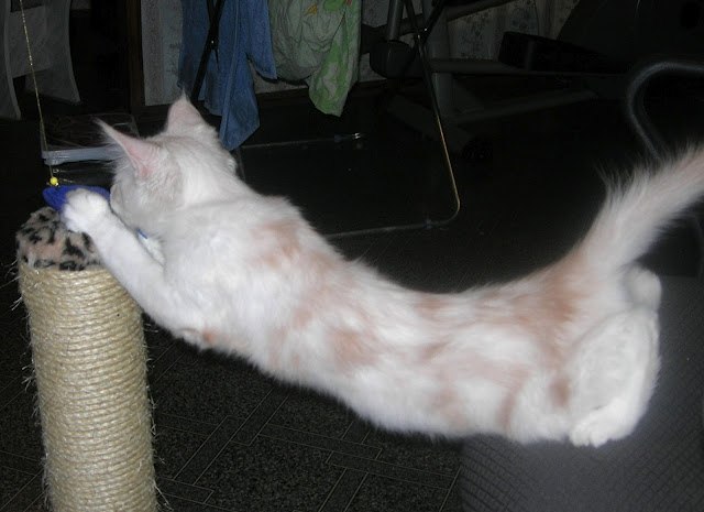 Мария Сластихина Дмитриевна | Саратов