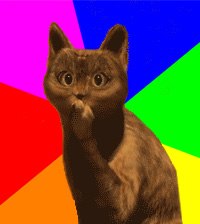 Настя Зайченко | 