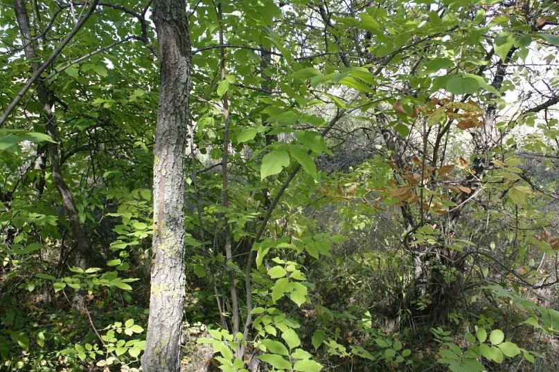 Маргарита Иванова | Москва