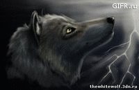 Алексей Шишов валерьевич | Саратов