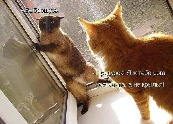 Снежана Пугакова | Славянск