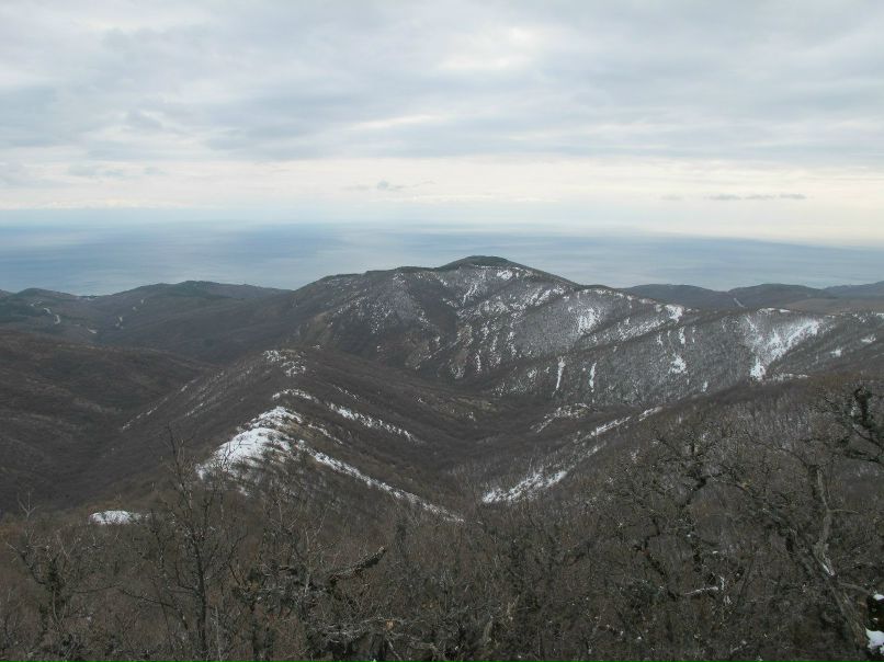 Игорь Баженов | 