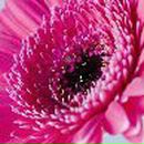 Ангелина Рослова ♥Greeneyes_Angel♥ | Москва