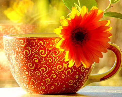 Анна Зайцева | Тверь