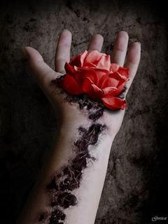 Влад Таран | Киев